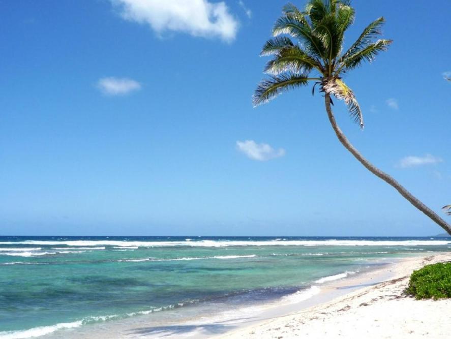 Caribbean Studios Tropicana With Pool - Playa Los Corales Punta Cana Zewnętrze zdjęcie