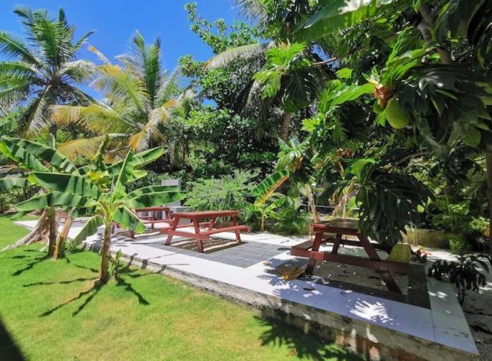 Caribbean Studios Tropicana With Pool - Playa Los Corales Punta Cana Zewnętrze zdjęcie